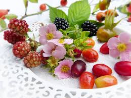Foods that reduce blood sugar glucose