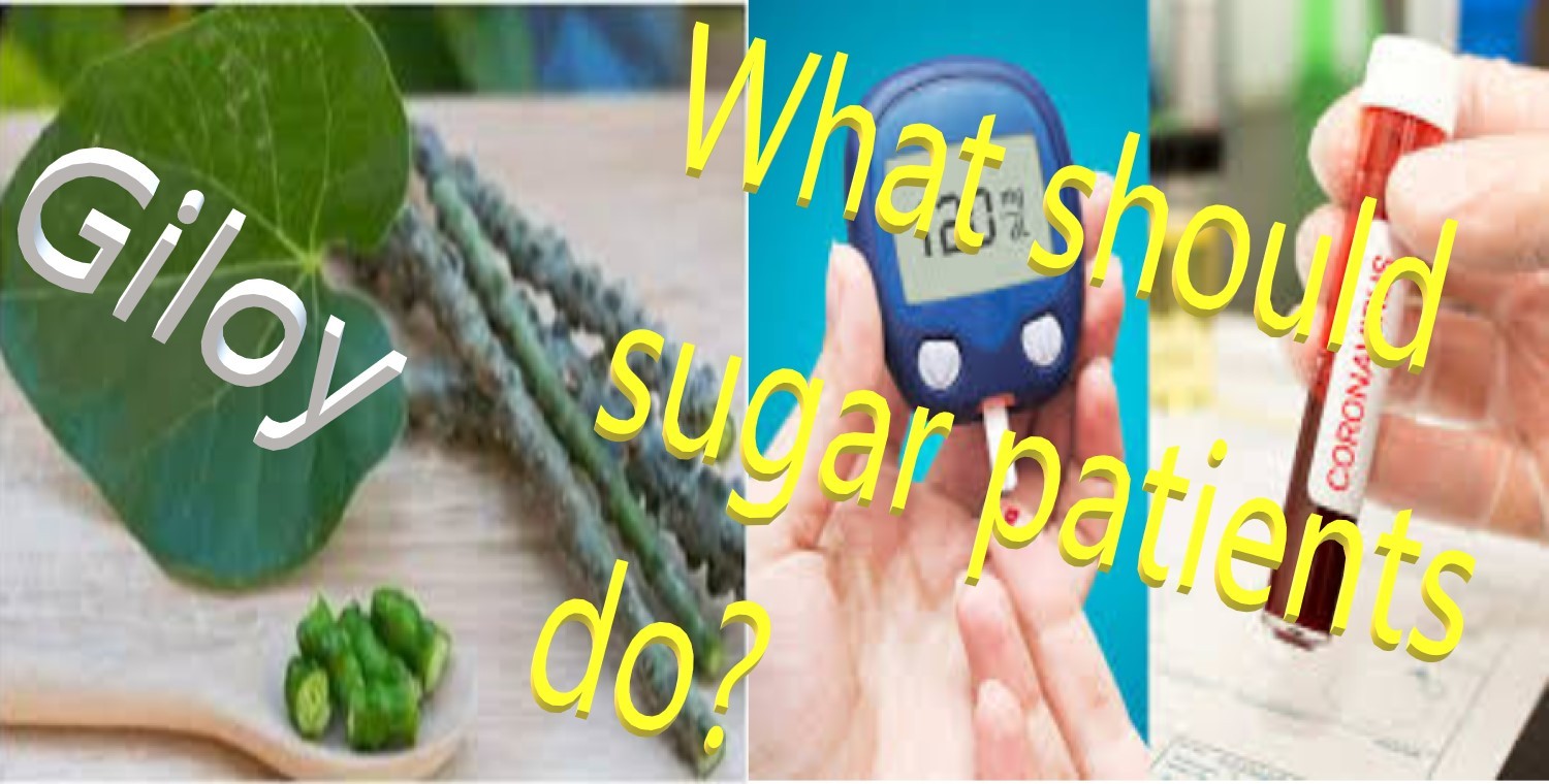 Diabetes And Giloy what should sugar patients do?