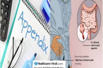 What is Appendix in Hindi