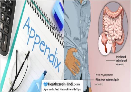 What is Appendix in Hindi